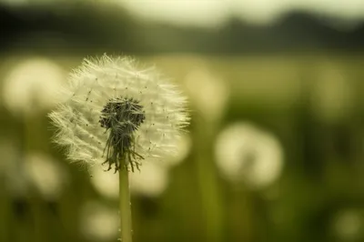 Illustration softest - Image 1