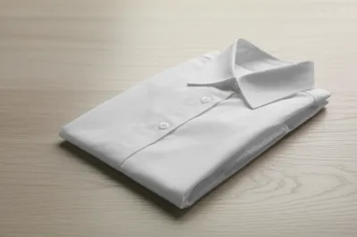 Illustration sark - Image 1