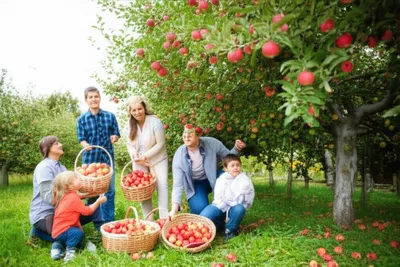 Illustration afforded - Image 1