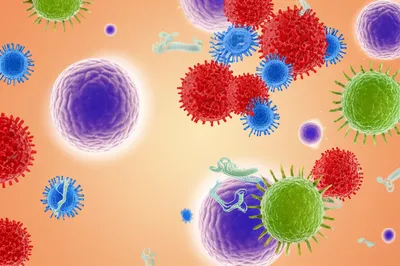 Illustration immune - Image 1