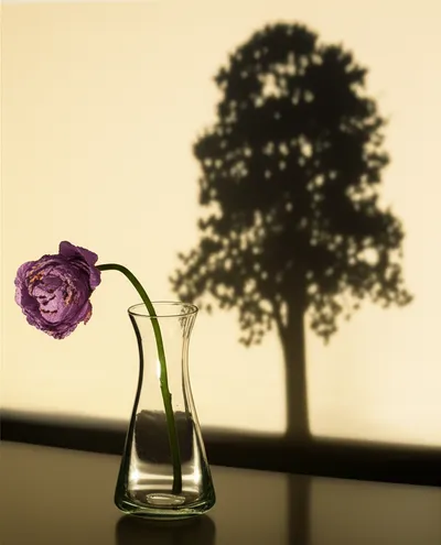 Illustration impotent - Image 1