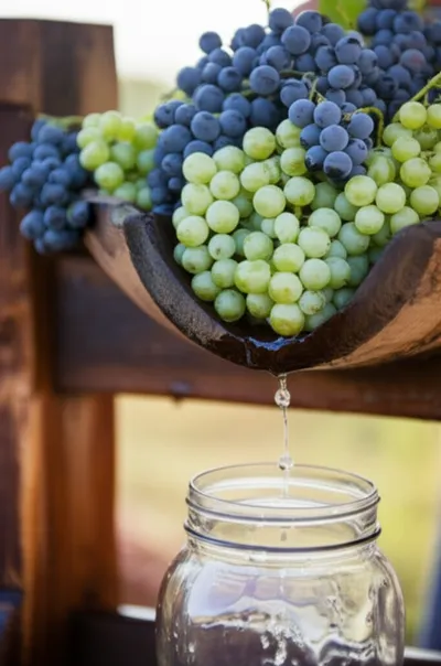 Illustration presses - Image 1