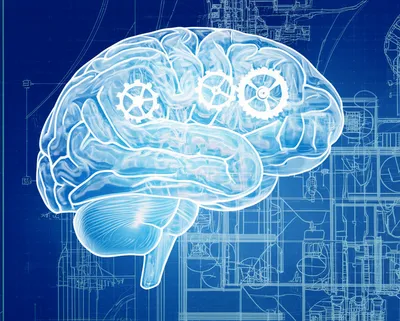 Illustration cogitate - Image 1