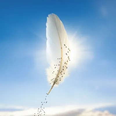 Illustration feathered - Image 1