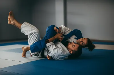 Illustration rolls - Image 1