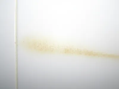 Illustration discolorations - Image 1