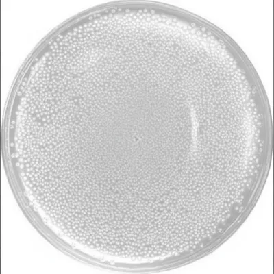 Illustration lines - Image 1