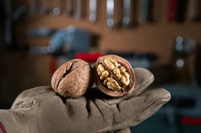 Illustration knacker - Image 1