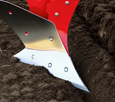 Illustration shares - Image 1