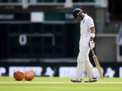 Illustration duck - Image 1