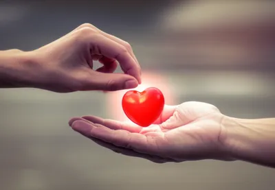 Illustration transferred - Image 1