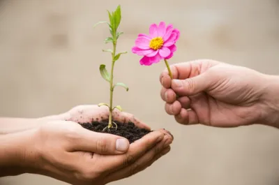 Illustration switches - Image 1