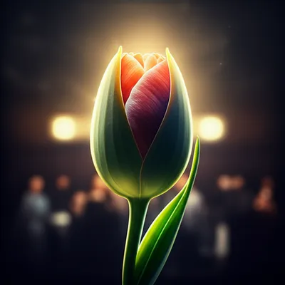 Illustration debut - Image 1