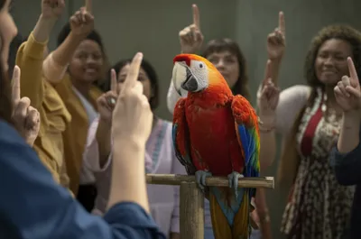 Hình ảnh minh họa poll - Ảnh 1