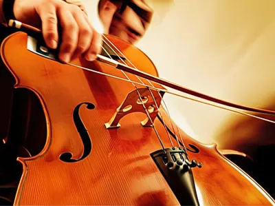 Illustration forte - Image 1