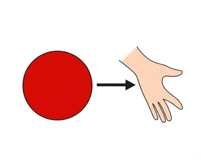 Illustration reaction