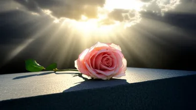 Illustration expiating - Image 1