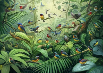 Illustration quits - Image 1