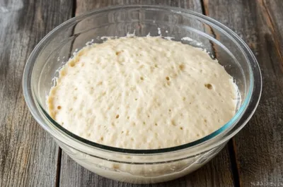 Illustration yeasts - Image 1