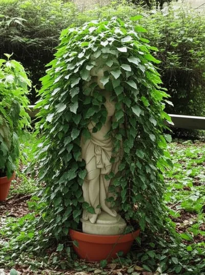 Illustration creeps - Image 1