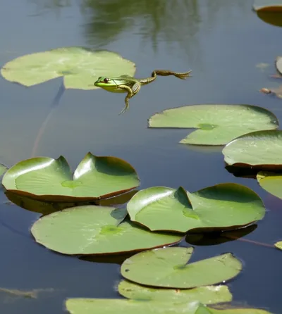 Illustration circular - Image 1