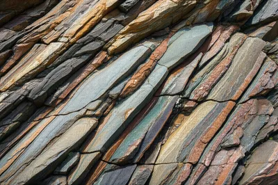 Illustration boudin - Image 1