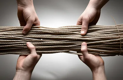 Illustration consolidated - Image 1