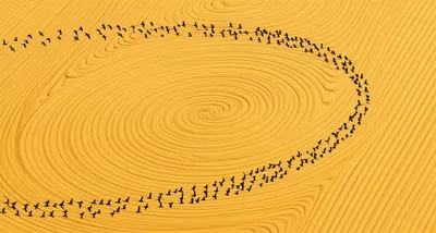 Illustration milling - Image 1