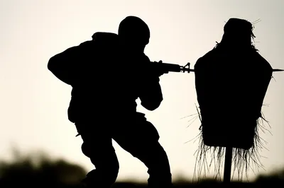 Illustration bayonet - Image 1