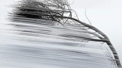 Illustration blizzard - Image 1