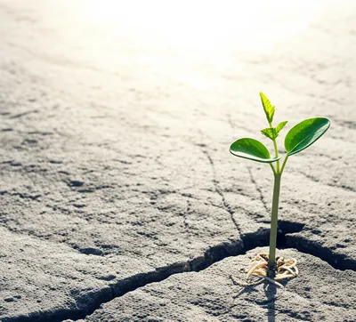 Illustration restarts - Image 1