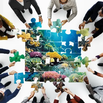 Illustration holism - Image 1