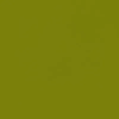 Illustration olive - Image 1