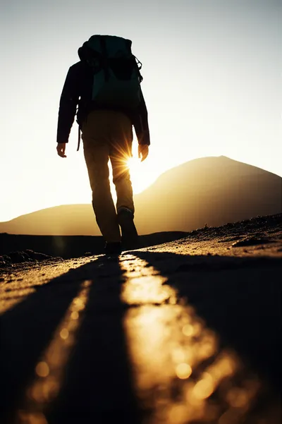 Illustration betook - Image 1