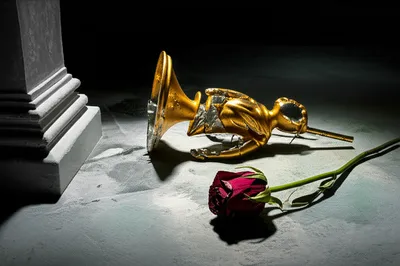 Illustration contemptible