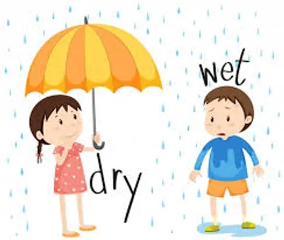 Illustration wet - Image 3