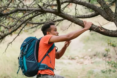 Illustration hitches - Image 1