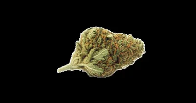 Illustration eighth - Image 1