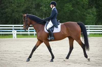 Illustration seats - Image 1