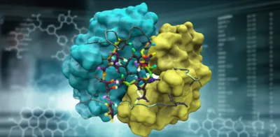 Illustration screens - Image 1