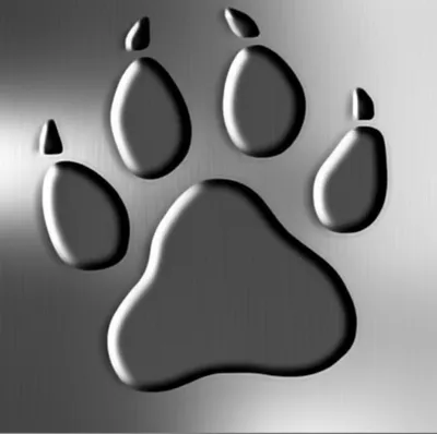 Illustration pounced - Image 1