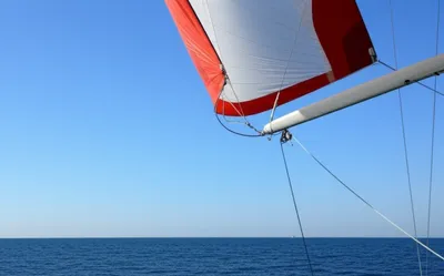 Illustration foot - Image 1