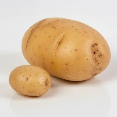 Illustration fingerling - Image 1