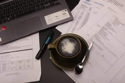 Illustration documented - Image 2