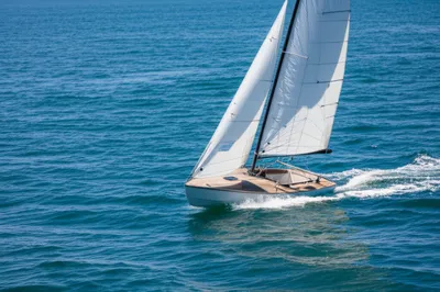 Illustration scout - Image 1