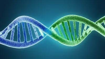 Illustration overlapping - Image 1