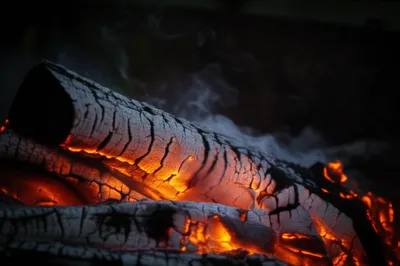 Illustration fagot - Image 1