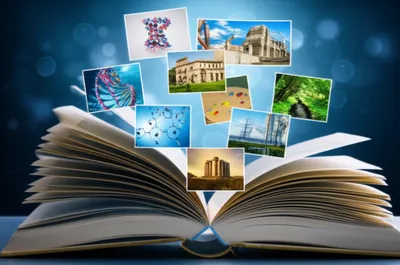 Illustration contents - Image 1