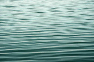 Illustration fluctuant - Image 1