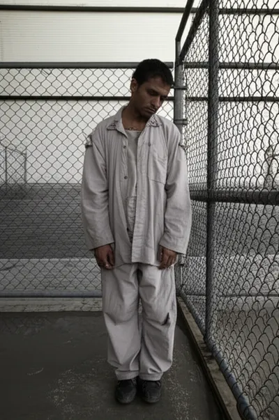 Illustration yardbirds - Image 1